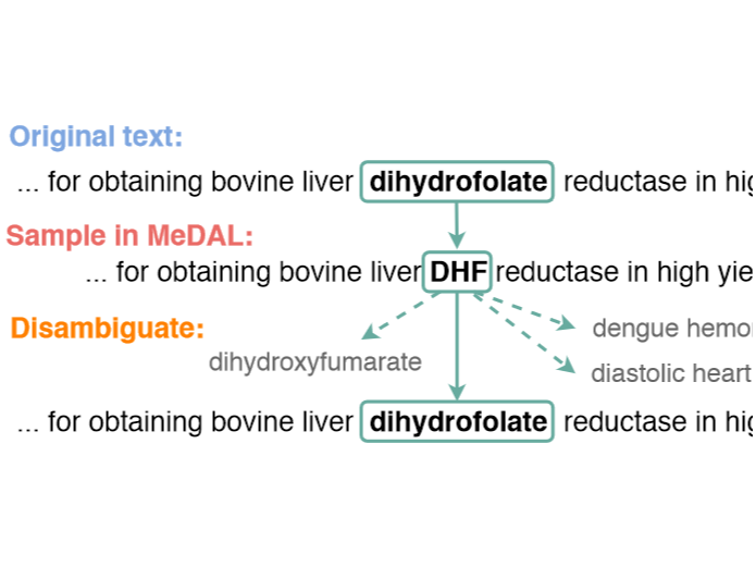 A thumbnail that highlights the contribution of the paper